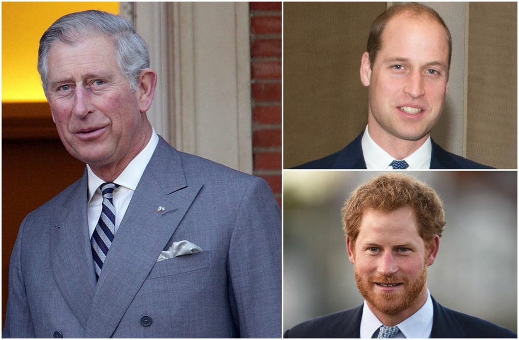 Prince Charles Androgenetic Alopecia and Scalp